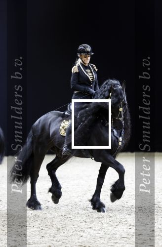 Amsterdam 28 januari 2023
Samantha Steenwijk rijdt op haar paard een kuhr terwijl ze zingt tijdens Jumping Amsterdam in de RAI.