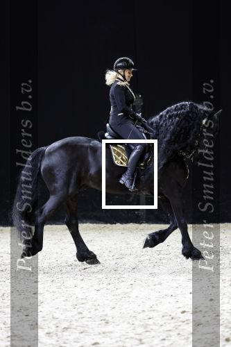Amsterdam 28 januari 2023
Samantha Steenwijk rijdt op haar paard een kuhr terwijl ze zingt tijdens Jumping Amsterdam in de RAI.