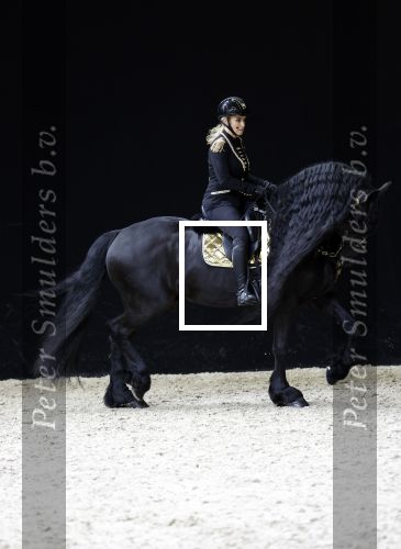 Amsterdam 28 januari 2023
Samantha Steenwijk rijdt op haar paard een kuhr terwijl ze zingt tijdens Jumping Amsterdam in de RAI.
