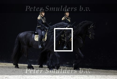 Amsterdam 28 januari 2023
Samantha Steenwijk rijdt op haar paard een kuhr terwijl ze zingt tijdens Jumping Amsterdam in de RAI.