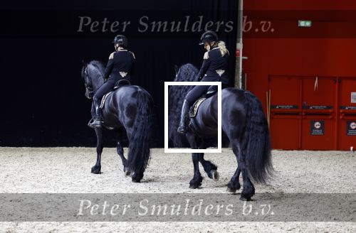 Amsterdam 28 januari 2023
Samantha Steenwijk rijdt op haar paard een kuhr terwijl ze zingt tijdens Jumping Amsterdam in de RAI.