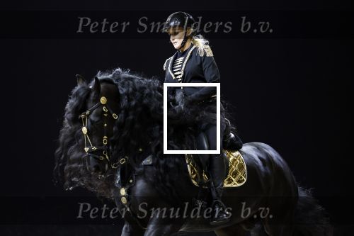 Amsterdam 28 januari 2023
Samantha Steenwijk rijdt op haar paard een kuhr terwijl ze zingt tijdens Jumping Amsterdam in de RAI.
