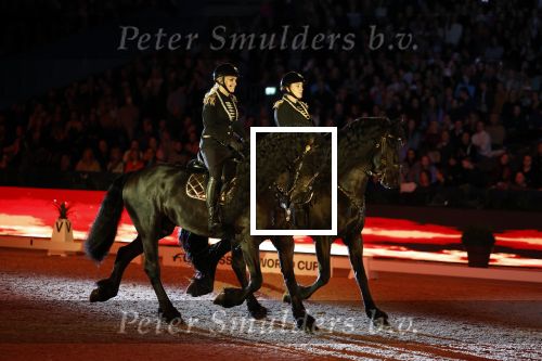 Amsterdam 28 januari 2023
Samantha Steenwijk rijdt op haar paard een kuhr terwijl ze zingt tijdens Jumping Amsterdam in de RAI.