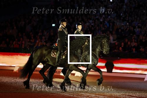 Amsterdam 28 januari 2023
Samantha Steenwijk rijdt op haar paard een kuhr terwijl ze zingt tijdens Jumping Amsterdam in de RAI.