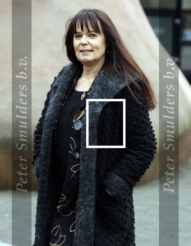 Utrecht 9 februari 2023
Kort geding Roxeanne Hazes vs. Rachel Hazes.  Roxeanne Hazes haar advocaat Maarten Kox (l) komt aan bij de rechtbank in Utrecht. Naast hem loopt ex advocaat Mr Tomlow en erachter Marieke v Beek en Robert Arjan Israel met vriendin