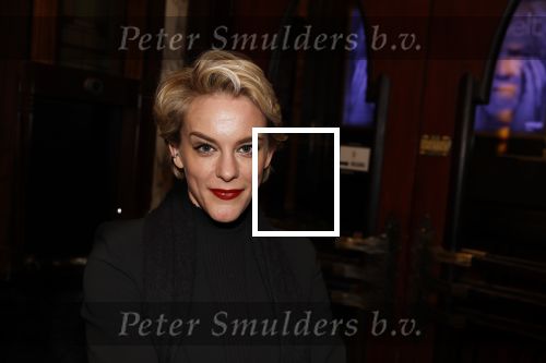 Amsterdam 23 januari 2023
Premiere Smelt met in de hoofdrol Ernst Daniel Smid.
De feestelijke premiere vond plaats in Tuschinski. Stacey Rookhuizen