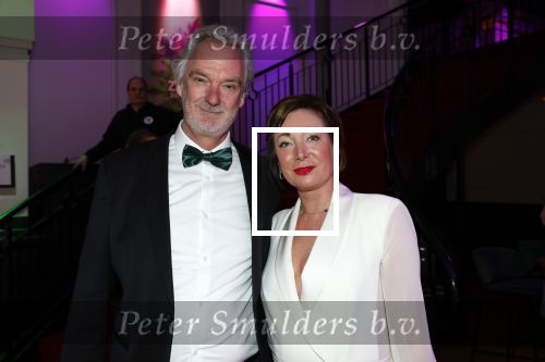 Hilversum 28 januari 2023
Zapp awards in studio 21 .Stefan v d Walle met partner