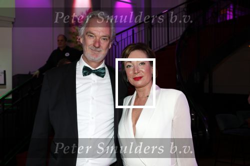 Hilversum 28 januari 2023
Zapp awards in studio 21 .Stefan v d Walle met partner