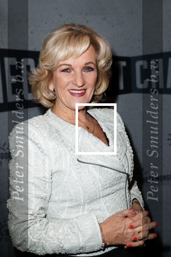 Spijkenisse 30 januari 2023
Premiere Checkpoint Charlie.
Tineke Schouten