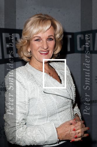 Spijkenisse 30 januari 2023
Premiere Checkpoint Charlie.
Tineke Schouten