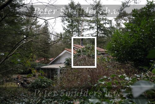 Baarn 1 februari 2023
Het huis van Tineke de Nooij op bungalowpark de zeven Linden staat te koop.