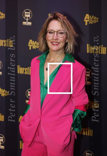 Hilversum 26 april 2023
Uitreiking radio ring 2023 in de vorstin .
Willemijn Veenhoven
