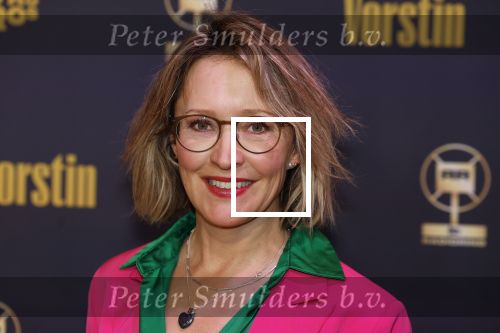 Hilversum 26 april 2023
Uitreiking radio ring 2023 in de vorstin .
Willemijn Veenhoven