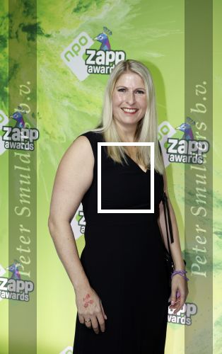 Hilversum 28 januari 2023
Zapp awards in studio 21 .