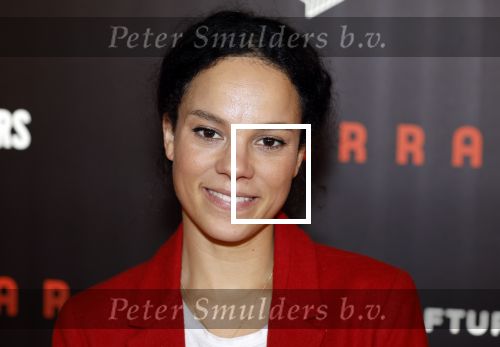 Amsterdam 17 januari 2024
Premiere Ferrari in Pathe arena . Cloe Leenheer