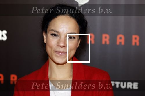 Amsterdam 17 januari 2024
Premiere Ferrari in Pathe arena . Cloe Leenheer