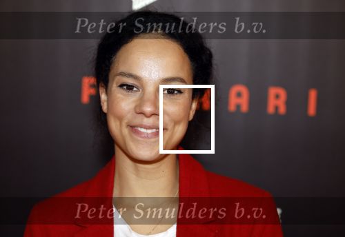 Amsterdam 17 januari 2024
Premiere Ferrari in Pathe arena . Cloe Leenheer
