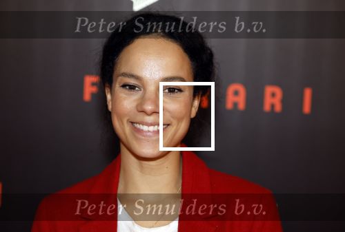 Amsterdam 17 januari 2024
Premiere Ferrari in Pathe arena . Cloe Leenheer