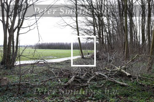Noordwijkerhout 6 januari 2023
Op deze locatie wordt het nieuwe huis van Martien Meiland Erica Meiland en Maxime Meiland gebouwd . De paaltjes zijn al geplaatst
