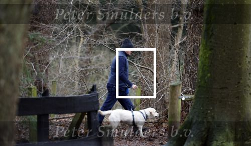 Huizen 13 januari 2024
Linda de Mol en Jeroen Rietbergen samen wandelend met hun 2 honden / labradors.