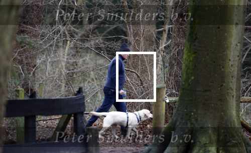 Huizen 13 januari 2024
Linda de Mol en Jeroen Rietbergen samen wandelend met hun 2 honden / labradors.