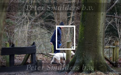 Huizen 13 januari 2024
Linda de Mol en Jeroen Rietbergen samen wandelend met hun 2 honden / labradors.