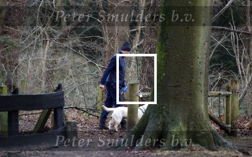 Huizen 13 januari 2024
Linda de Mol en Jeroen Rietbergen samen wandelend met hun 2 honden / labradors.
