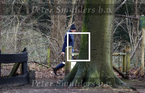 Huizen 13 januari 2024
Linda de Mol en Jeroen Rietbergen samen wandelend met hun 2 honden / labradors.