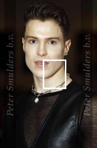 Amsterdam 4 januari 2024
Castpresentatie Jesus Christ Superstar in het DeLaMar theater met oa Paul de Leeuw Djeangu Macrooy Alex Klaasen Lucas hamming  Magtel de Laat . Albert Verlinde is de producent en Ivo v Hove de regisseur. Jules Avery