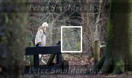 Huizen 13 januari 2024
Linda de Mol en Jeroen Rietbergen samen wandelend met hun 2 honden / labradors.