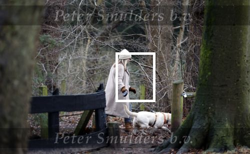 Huizen 13 januari 2024
Linda de Mol en Jeroen Rietbergen samen wandelend met hun 2 honden / labradors.