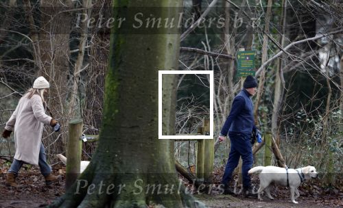 Huizen 13 januari 2024
Linda de Mol en Jeroen Rietbergen samen wandelend met hun 2 honden / labradors.