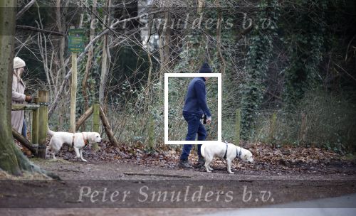 Huizen 13 januari 2024
Linda de Mol en Jeroen Rietbergen samen wandelend met hun 2 honden / labradors.