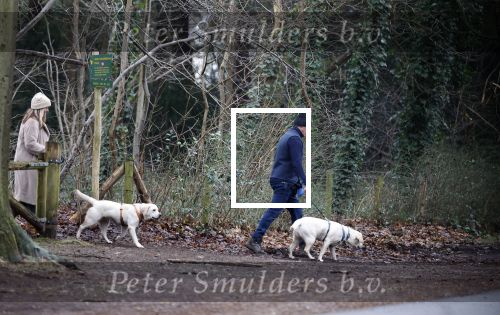 Huizen 13 januari 2024
Linda de Mol en Jeroen Rietbergen samen wandelend met hun 2 honden / labradors.