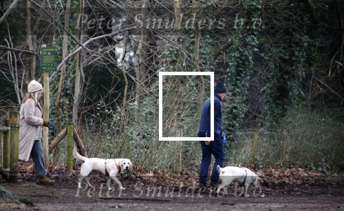 Huizen 13 januari 2024
Linda de Mol en Jeroen Rietbergen samen wandelend met hun 2 honden / labradors.