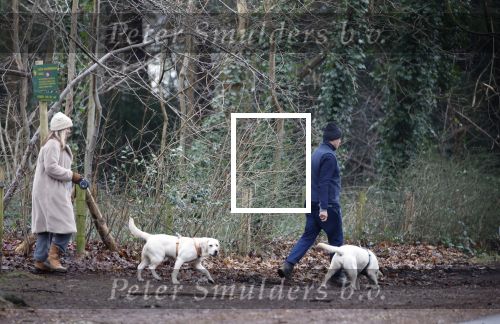 Huizen 13 januari 2024
Linda de Mol en Jeroen Rietbergen samen wandelend met hun 2 honden / labradors.