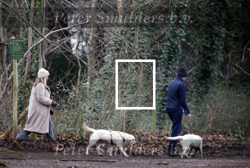 Huizen 13 januari 2024
Linda de Mol en Jeroen Rietbergen samen wandelend met hun 2 honden / labradors.