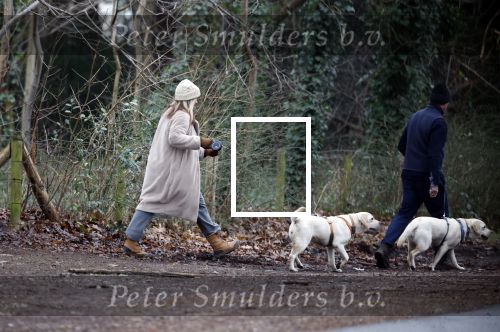 Huizen 13 januari 2024
Linda de Mol en Jeroen Rietbergen samen wandelend met hun 2 honden / labradors.