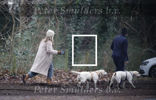 Huizen 13 januari 2024
Linda de Mol en Jeroen Rietbergen samen wandelend met hun 2 honden / labradors.