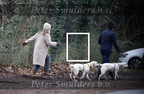 Huizen 13 januari 2024
Linda de Mol en Jeroen Rietbergen samen wandelend met hun 2 honden / labradors.