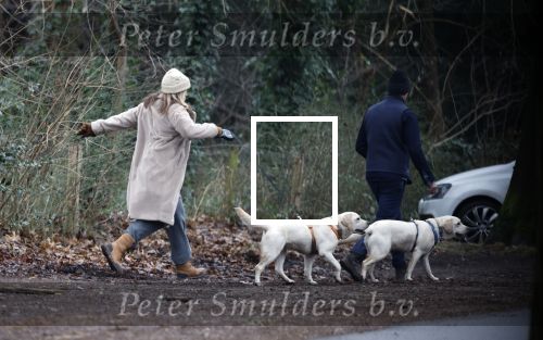 Huizen 13 januari 2024
Linda de Mol en Jeroen Rietbergen samen wandelend met hun 2 honden / labradors.