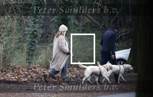Huizen 13 januari 2024
Linda de Mol en Jeroen Rietbergen samen wandelend met hun 2 honden / labradors.