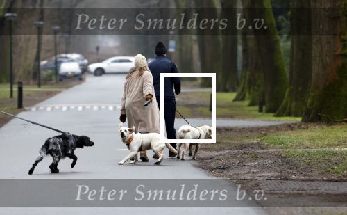 Huizen 13 januari 2024
Linda de Mol en Jeroen Rietbergen samen wandelend met hun 2 honden / labradors.