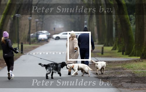 Huizen 13 januari 2024
Linda de Mol en Jeroen Rietbergen samen wandelend met hun 2 honden / labradors.