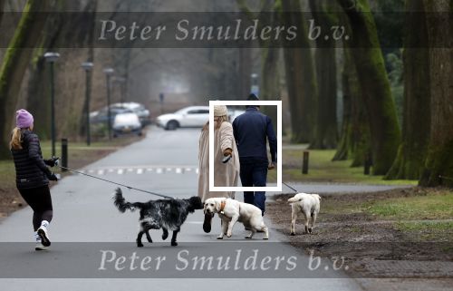 Huizen 13 januari 2024
Linda de Mol en Jeroen Rietbergen samen wandelend met hun 2 honden / labradors.