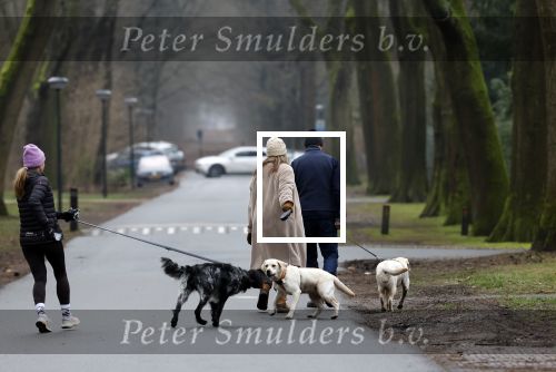 Huizen 13 januari 2024
Linda de Mol en Jeroen Rietbergen samen wandelend met hun 2 honden / labradors.