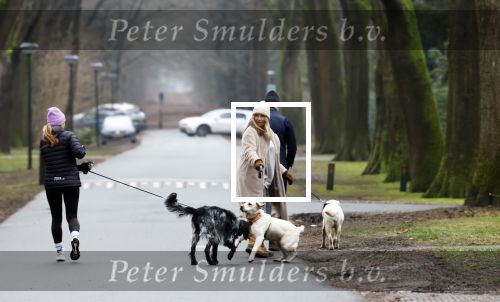 Huizen 13 januari 2024
Linda de Mol en Jeroen Rietbergen samen wandelend met hun 2 honden / labradors.