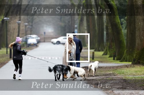 Huizen 13 januari 2024
Linda de Mol en Jeroen Rietbergen samen wandelend met hun 2 honden / labradors.