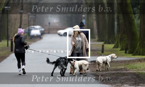 Huizen 13 januari 2024
Linda de Mol en Jeroen Rietbergen samen wandelend met hun 2 honden / labradors.