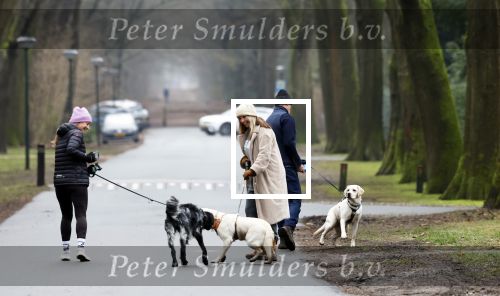 Huizen 13 januari 2024
Linda de Mol en Jeroen Rietbergen samen wandelend met hun 2 honden / labradors.